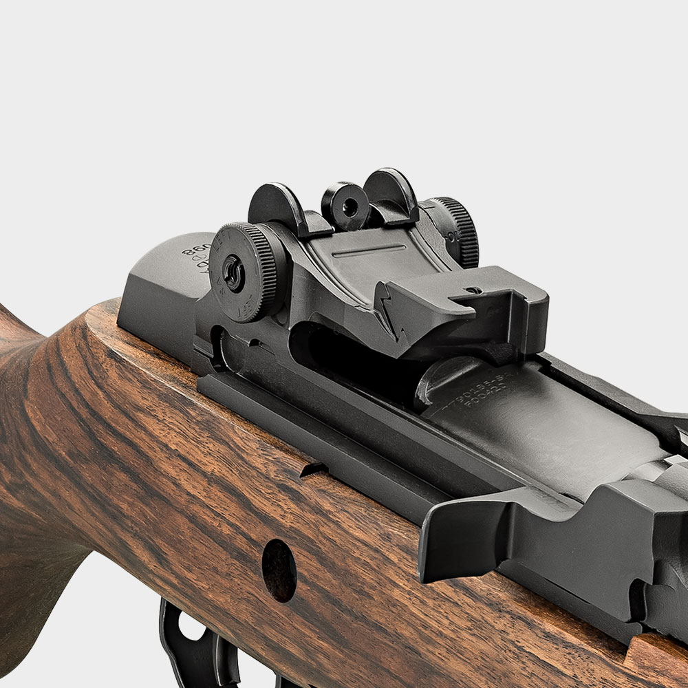 Match-Grade Aperture Rear Sight